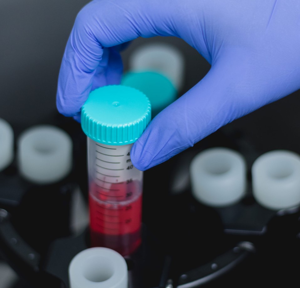 Interior de Longevity Clinic — ambiente clínico de lujo